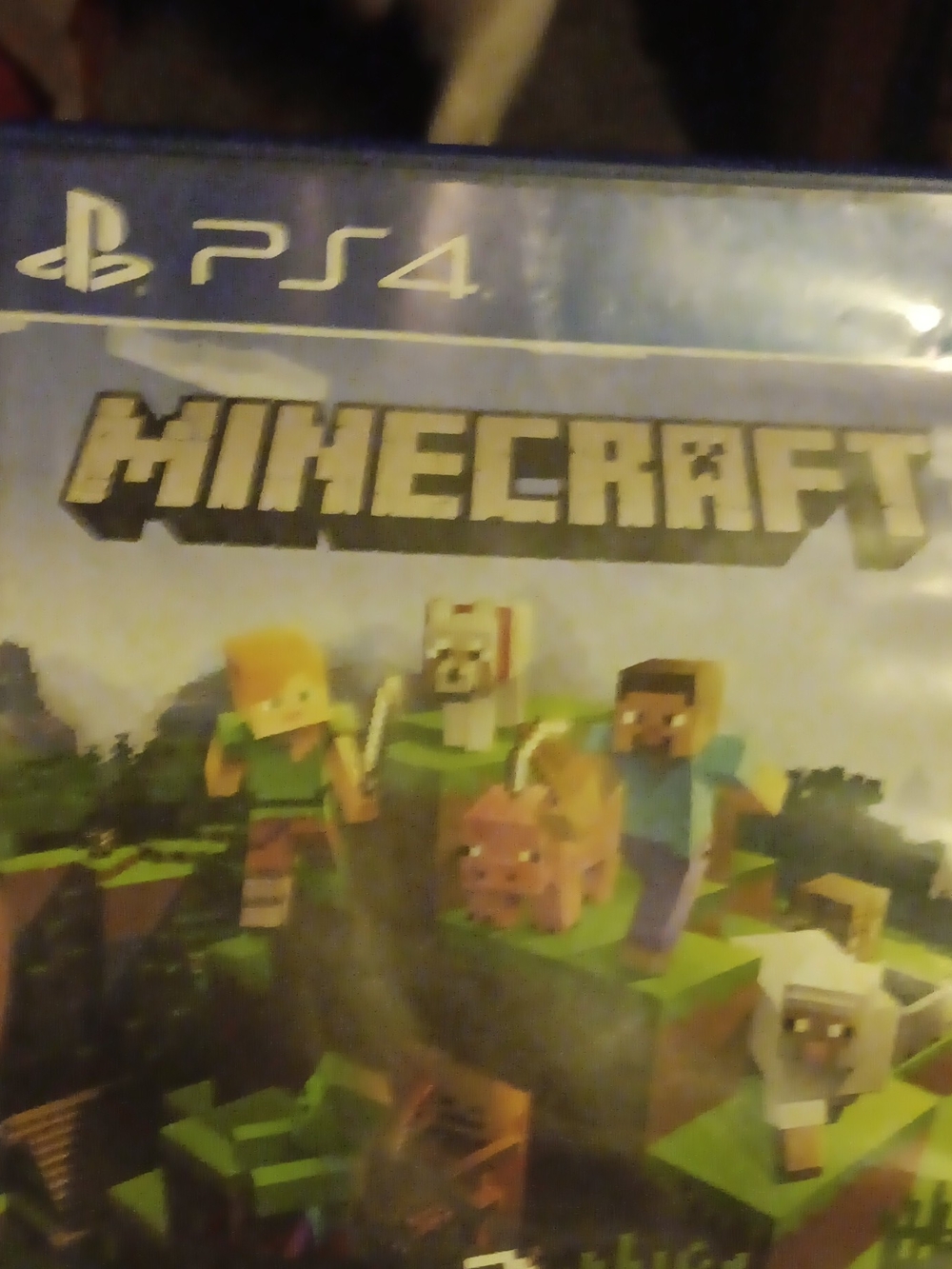 Sony PS4 Minecraft - Blue Case